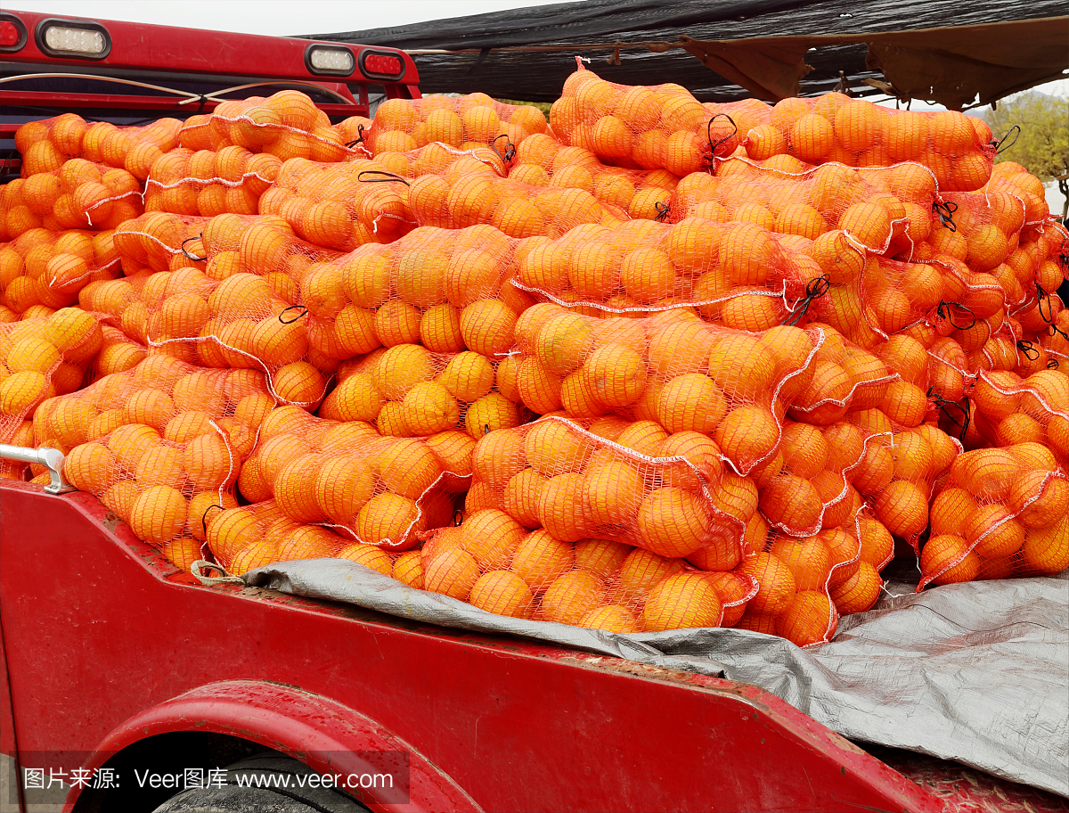 卡车种植橘子
