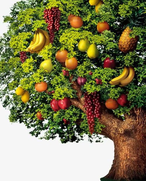 有3种水果可能会助于孩子身高发育,建议给孩子吃,别不舍得花钱